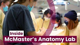 Inside McMaster University’s anatomy lab: Where art meets health sciences