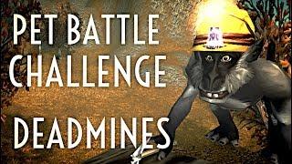 WoW Guide - Pet Battle Challenge Dungeon - Deadmines - 7.2.5