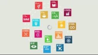 Local and regional governments at the heart of sustainability and development