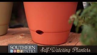 Self-Watering Planters