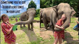 Feeding And Swimming with Elephants In Chiang Mai Thailand! // Trutravels