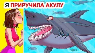 Я приручила акулу