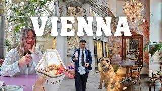 Vienna, Austria Vlog  Travel Guide 2023, Best Cafes, Shopping, Museums, Things to Do, Wien Vlog