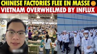 Chinese Factories Flee en Masse! Vietnam Overwhelmed, Trump Hikes Tariffs, China’s Industry Panics