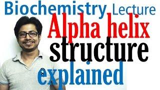 Alpha helix | Secondary structure of proteins