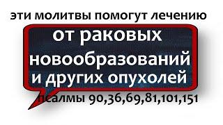 от онкологии старинная молитва НЕЗРИМЫЙ ЩИТ