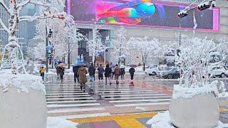 Snowy GWANGHWAMUN, Nov 27, 2024, The First Heavy Snowfall in Seoul. 4K Seoul Korea Walk.