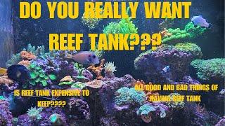 Is a Marine Reef Tank Worth It? Unveiling the Pros and Cons!