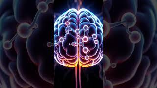 Brain Fuel: Why Fat Matters!