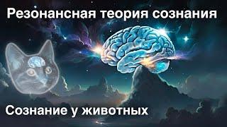 Резонансная теория сознания | Сознание у животных