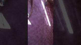 ThuraClean Inc Inverness Carpet Cleaning