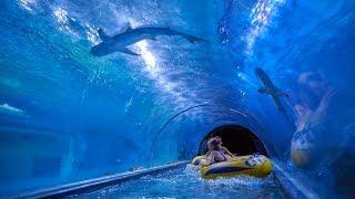 Shark Water Slide at Aquapark Reda