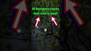 10 RANDOM FACTS YOU DIDN'T KNOW!