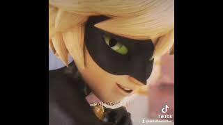 Chat Noir (Judas Edit)  || DatTaillessKitten