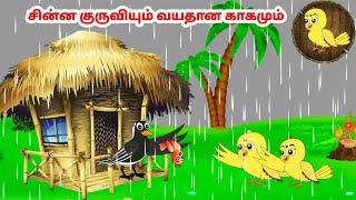 கார்ட்டூன் 19/09/24 | Feel good stories in Tamil | Tamil moral stories | Beauty Birds stories Tamil