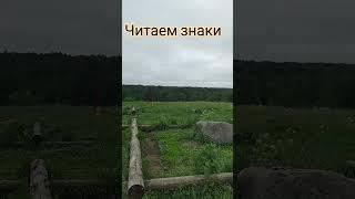 Во всем есть и (-) и (+)! Важно делать верный вывод из знаков Свыше! #природа  #люди #оздоровление