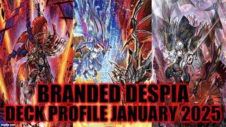 BRANDED DESPIA DECK PROFILE (JANUARY 2025) YU-GI-OH!