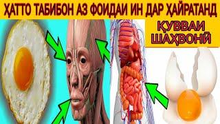 ТУХМИ МУРҒИ ХОНАГИ. ФОИДАИ ТУХМ. ТУХМ БА ОЛОТИ МАРДОНАГИ. КАНЗИ ШИФО