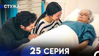 Стужа 25 Серия (Русский Дубляж)