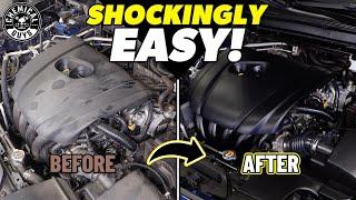 Easy Engine Bay Detailing - How To Wash Your Dirty Engine Bay With Two Products!