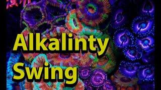 Reef Tank Alkalinity Swing