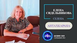 Мини-семинар | Антахкарана- радужный мост связи с Богом | СЕлена. Елена Сидельникова.