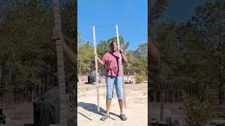 I built a trellis!!