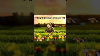 Iraqi Girl Broke My Heart:  #memes #doge #history  #anime #edit