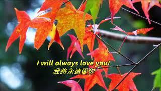 I will always love you  - Dolly Parton