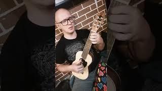 Памяти Виктора Цоя «Кукушка» Flight guitalele cover