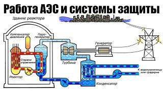 Атомная электростанция (АЭС). Принцип работы, защита, устройство реактора