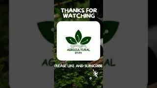 Agricultural Gyan Channel
