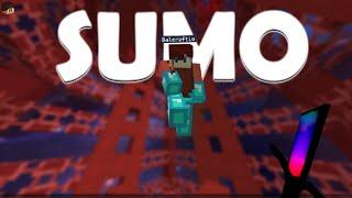 bloxd io BUT I ADDED NEW SUMO GAMEMODE