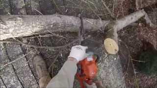 Taking Tree Off Roof