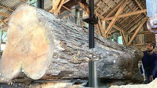 $100/Share!Turning Horn Teak Wood Into Planks Raw material for tables in sawmills