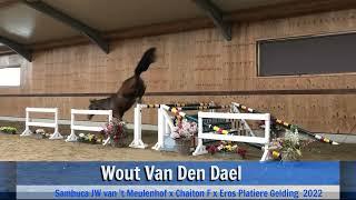 Wout van den Dael (jumping)