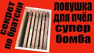 ловушка для пчел. Как сделать ловушку для пчел своими руками. Пчеловодство. Пасека. Пчелы