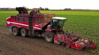 Suikerbieten rooien | Sugar beet harvest | Zuckerrüben ernten | Grimme ReXor 6300 | Fendt | Joskin