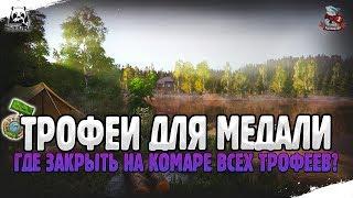 Медаль Почетный рыболов. Где закрыть трофеи на Комарином ?