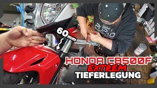 Extreme Honda CB500F Tieferlegung: Der Meister zeigt, wie es geht! • Popko das Motorradhaus