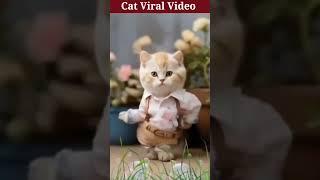 Cat Best Viral Video #trending #cartoon #shorts #ytshorts