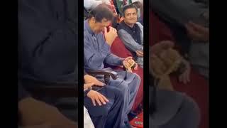 #imrankhan #pit #shorts