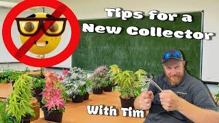 Top 5 Biggest Mistakes Beginner Japanese Maple Collectors Make!