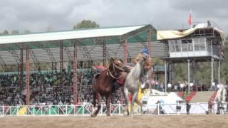 Horse Wrestling at World Nomad Games 2014