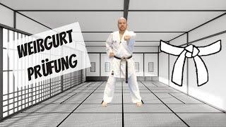 Werde Karate-Meister 1/10: Weißgurt Shotokan Prüfungsprogramm Kihon (9. Kyu, DKV)