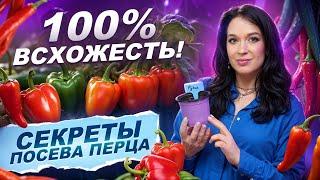  КАК ПОСЕЯТЬ ПЕРЕЦ НА РАССАДУ В МАРТЕ?  СЕКРЕТЫ ВСХОДОВ ОТ  МИСС ФРЕНИ | СЕМКО