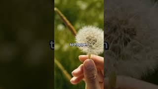 Prevent Weeds Naturally