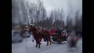 Новогодние праздники в КП "Лесные Озера"