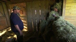 Mystery Poo in a Prize Bull's Feed | Call of the Wildman