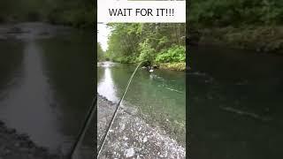 Bird Steals Fish From Fisherman Funny Short